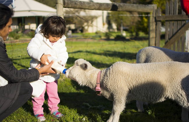 Freshwater Creek Cottages and Farm Stay - Foto 56