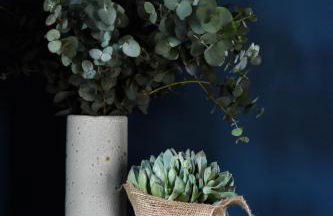 Les Loges en Provence "Villa Ventoux" - Foto 36