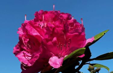 Ferienhaus Weidblick - Foto 24