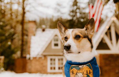 Stilly River Haus - Hot tub - Firepit - Fireplace - Foto 29