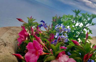 Sky House Amalfi Coast - Photo 11