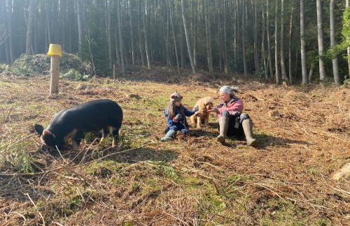 Black Mountains Stylish Hideaway, nr Crickhowell - Photo 22