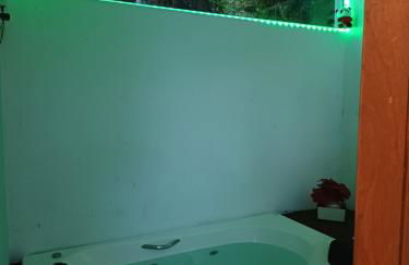 Chalé com Jacuzzi e churrasqueira em Florianópolis - Photo 23