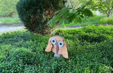 Urlaub in der Natur - Foto 35