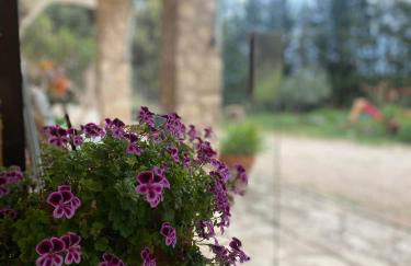 Villa Sanz - Foto 10