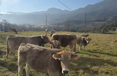 Complex Rural Can Caubet - Foto 11