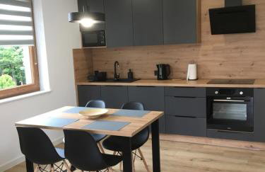 Apartamenty Black&White Lubawka - Domek z ruską banią i sauną - Foto 15