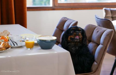 Appart'Hotel Castel Emeraude, Charme et Caractère - Foto 27