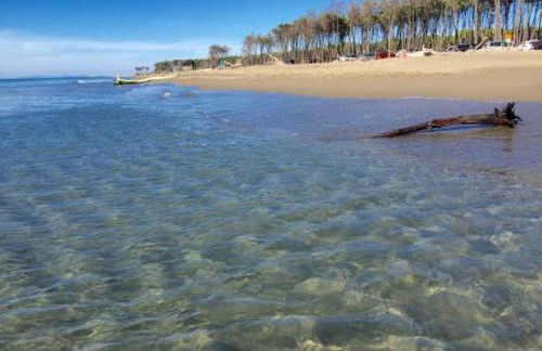 Ombrone Camere - Foto 2