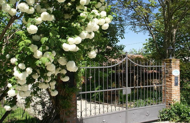 Agriturismo Il Gioco dell'Oca - Foto 43