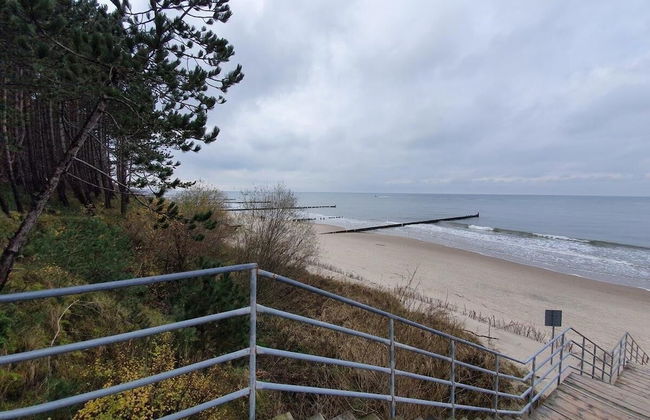 DWIE SOSNY-Apartament na wydmie - 365PAM - Photo 60