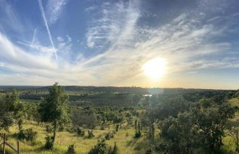 Herdade Terra rica - Photo 31