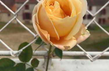 Villenouan domaine et gites - Photo 42