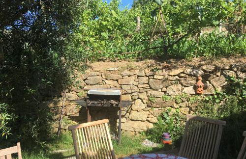 Casa S. Nicolau - Photo 9