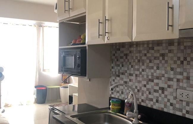 Palmtree Villas 1 -Favila Condotel Unit - Photo 11