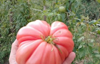 Agriturismo La Vecchia Fontana - Photo 56