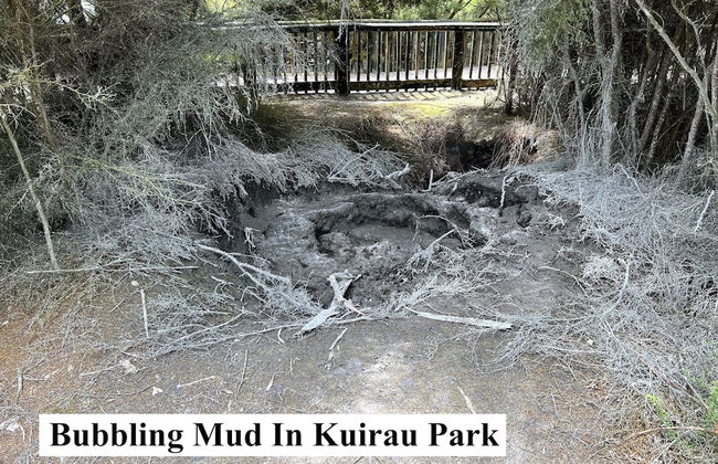 Parkview Holiday Home - Foto 72