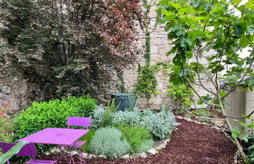 Châtel Rose - Historical Centre with Garden - Foto 22