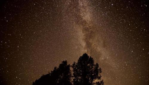 Lakefront Chalet Nevada City - Foto 3