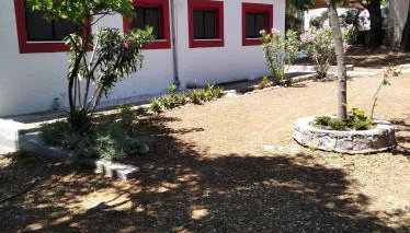 Dialiskari#4 - Foto 2