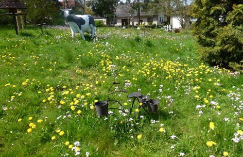 Land des Friedens in Nettersheim / Eifel - Photo 15
