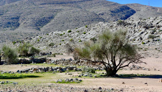 Landscapes of Musandam
