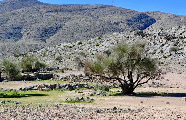 Musandam Private Off-Roading Tour - Photo 4