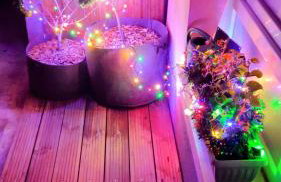 Olive Tree City Apartment - Foto 20