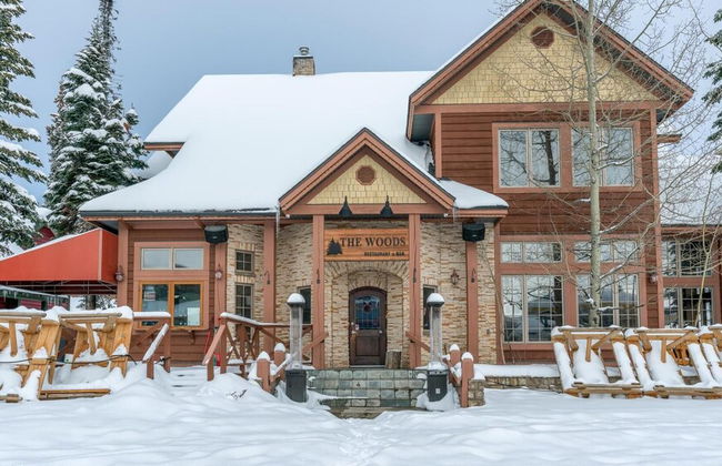 Raven's Nest - Luxury Pet Friendly Condo w/ Private Hot Tub & Mountain Views - Foto 43