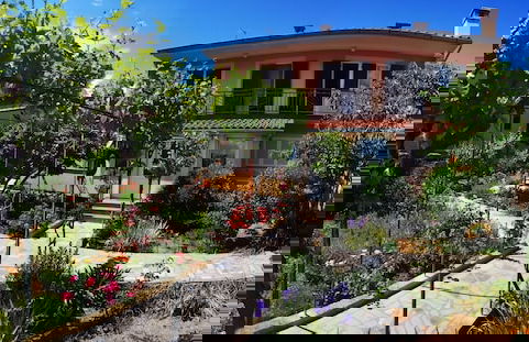 Naomi's Sunshine - Foto 33