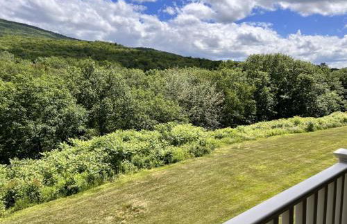 Studio Apt with stunning Mountain Views - Foto 25