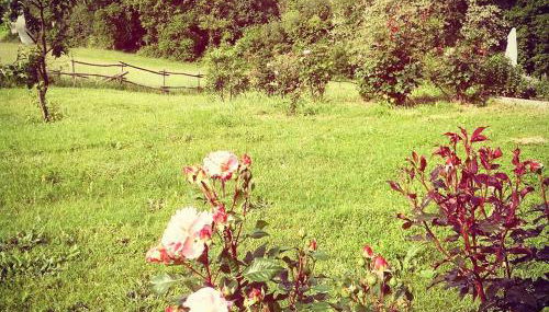 La Collina Tuscan stone cottage - Foto 5