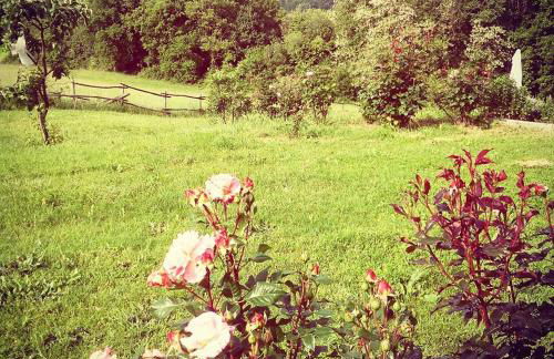 La Collina Tuscan stone cottage - Foto 5