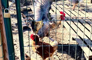 Villa spacieuse à Prailles-La Couarde avec piscine privée 100 m² ! - Foto 21