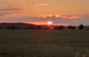 Ferienwohnung Grote - Foto 17