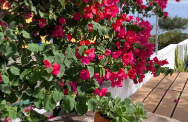 Água e Sal - Seafront House, with Garden and independent Suíte. - Photo 42