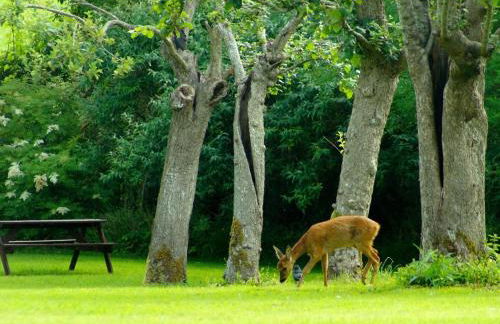 1 Bed in Wedmore oc-51337 - Foto 21