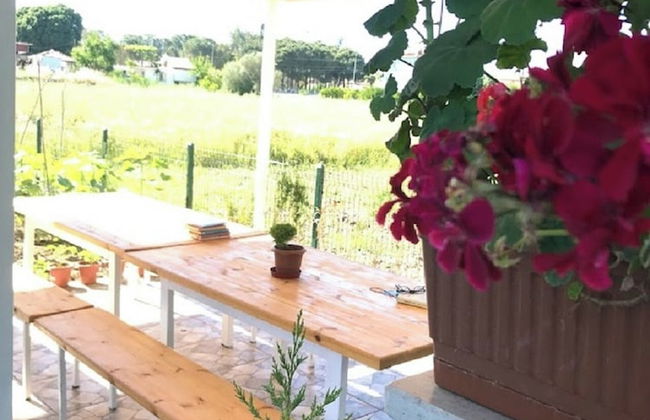 Dalaman Pansiyon - Foto 24