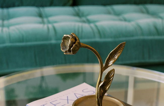 Cation on the Guadalupe - Foto 78