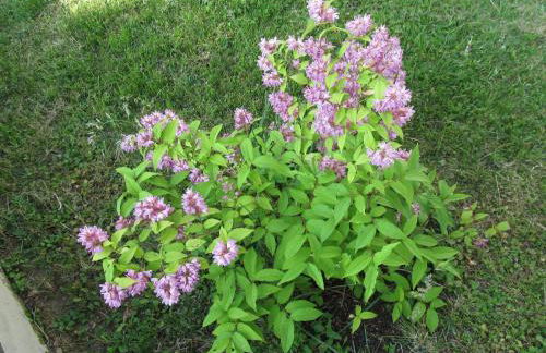 Loftwohnung 3 Bergeblick - Foto 51