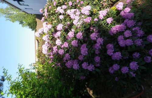 Zum Sudhaus im Herzen der Schorfheide - Foto 28