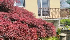 Dietro L'angolo - Foto 4