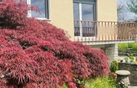 Dietro L'angolo - Foto 4