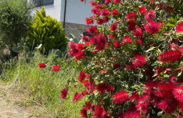 Casa Mediterraneo - Foto 33