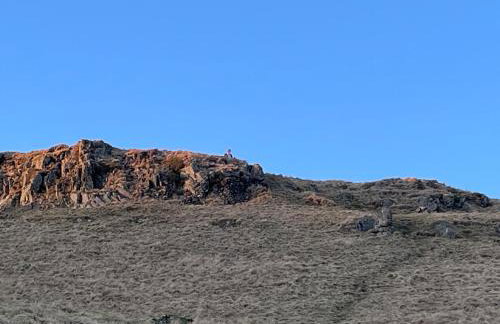 Thistle Lodge - Foto 48