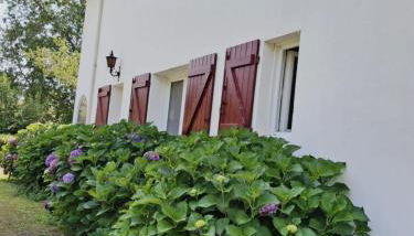 villa relax - Foto 3