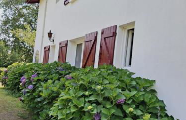 villa relax - Foto 3