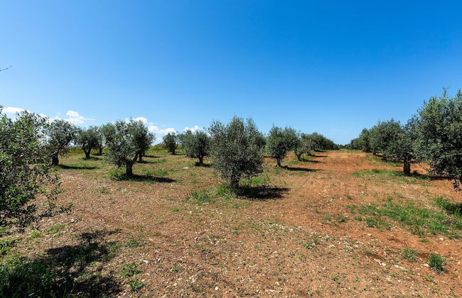 3422 Sikalindee - Casette PT by Barbarhouse - Photo 13