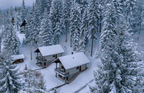 Gorska bajka - Smreka, kuća za odmor i wellness - Foto 31