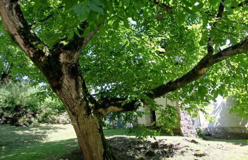 Holiday Home Uxaneko-errota by Interhome - Foto 38